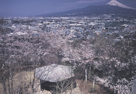 本城山・本城山公園