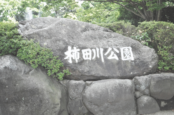 柿田川公園