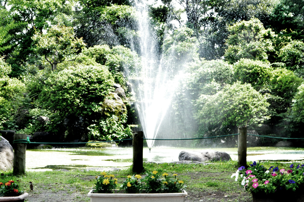 柿田川公園