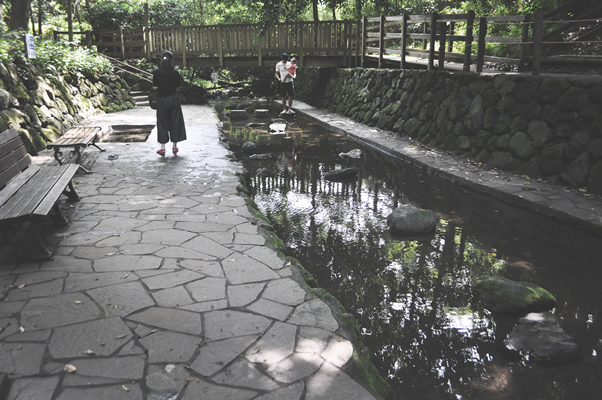 柿田川公園