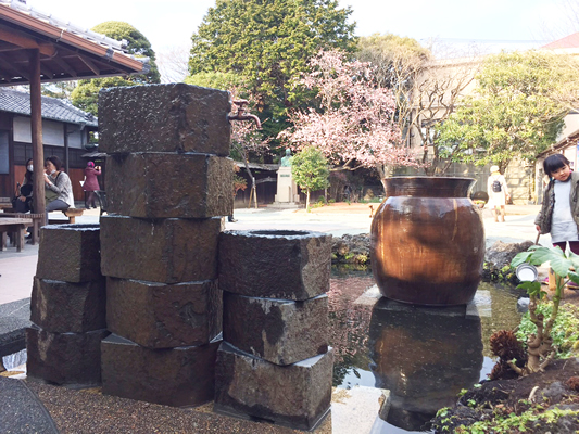 柿田川富士山百年水