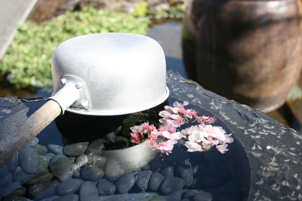 柿田川富士山百年水