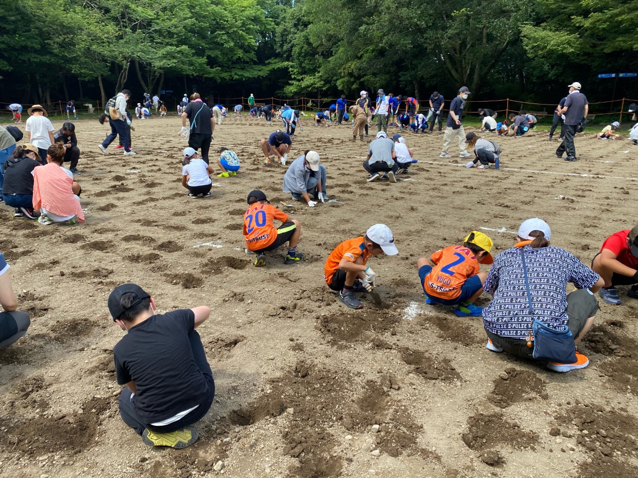 柿田川公園に新しい芝生を植えました✨