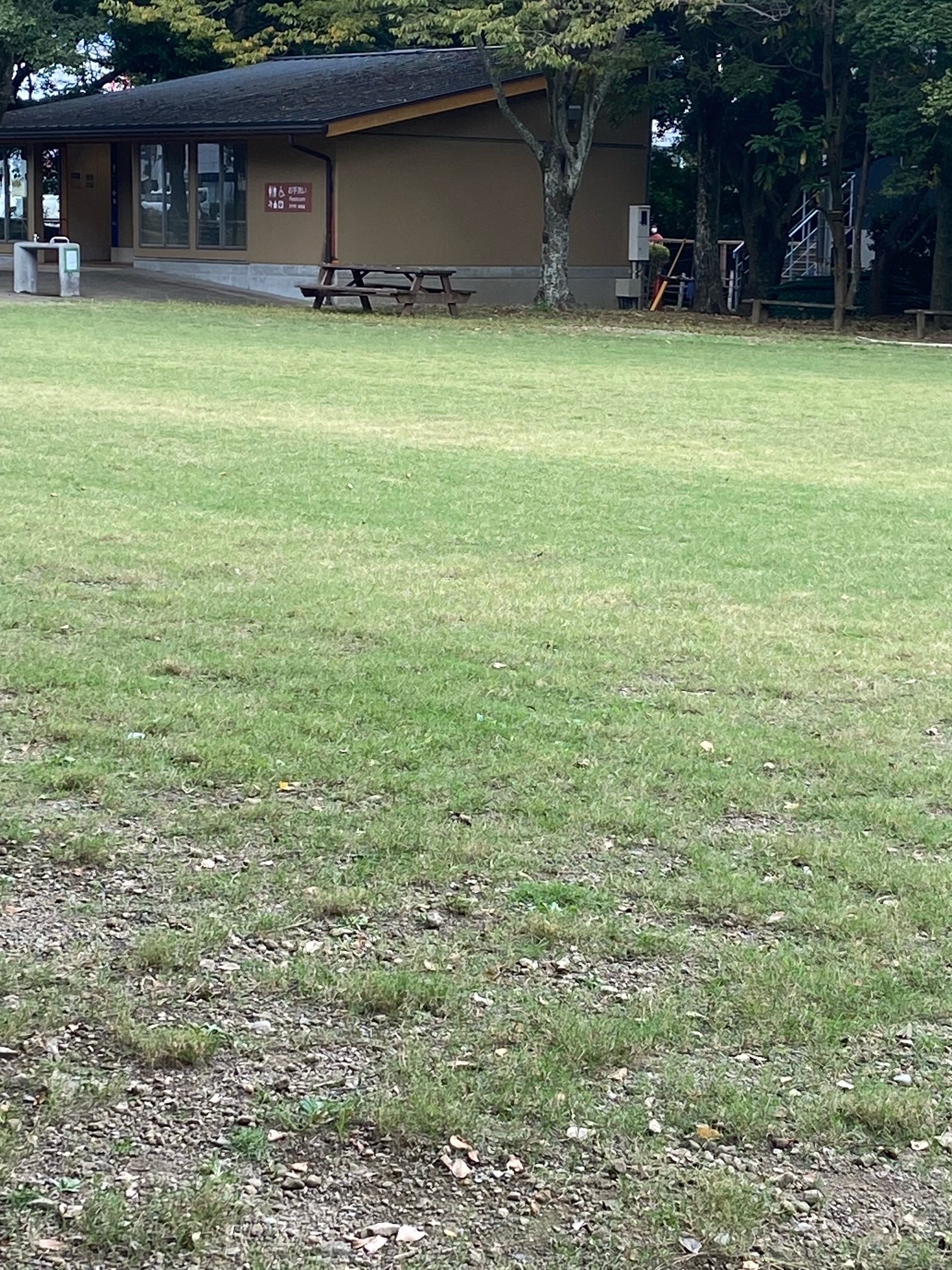 柿田川公園 芝生広場のお知らせ🍃