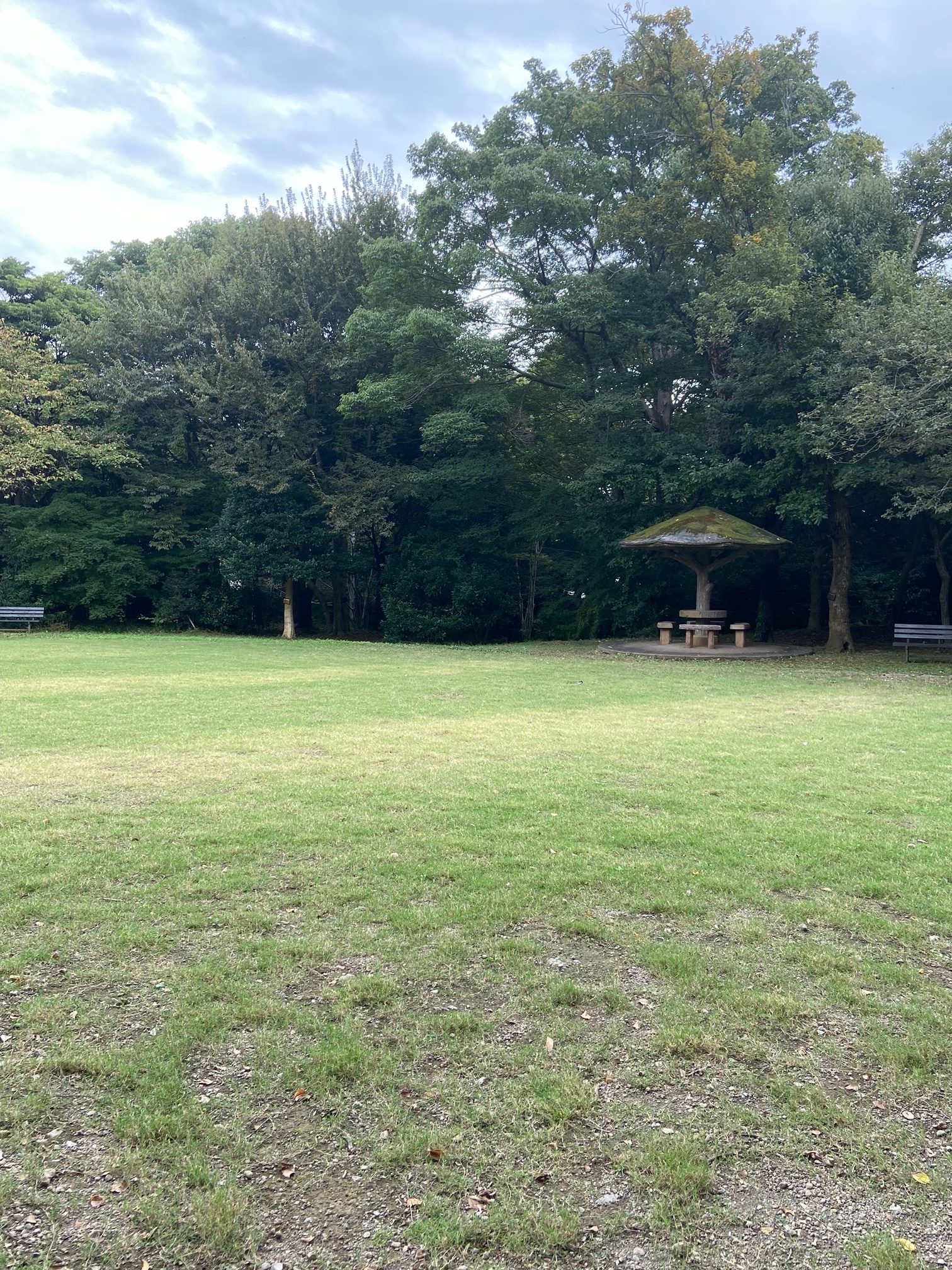 柿田川公園 芝生広場のお知らせ🍃