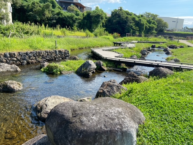 清住緑地