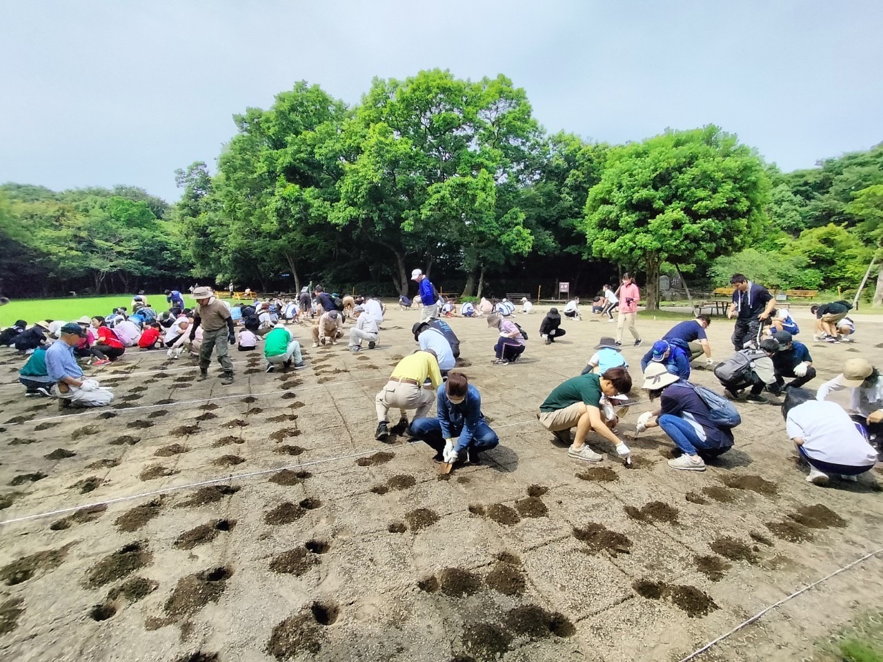 柿田川公園芝生広場に新しい芝生を植えました！