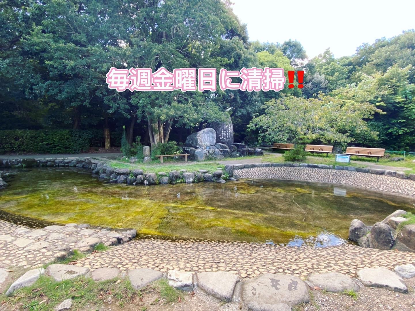 柿田川公園 せせらぎ池についてのお知らせ📢