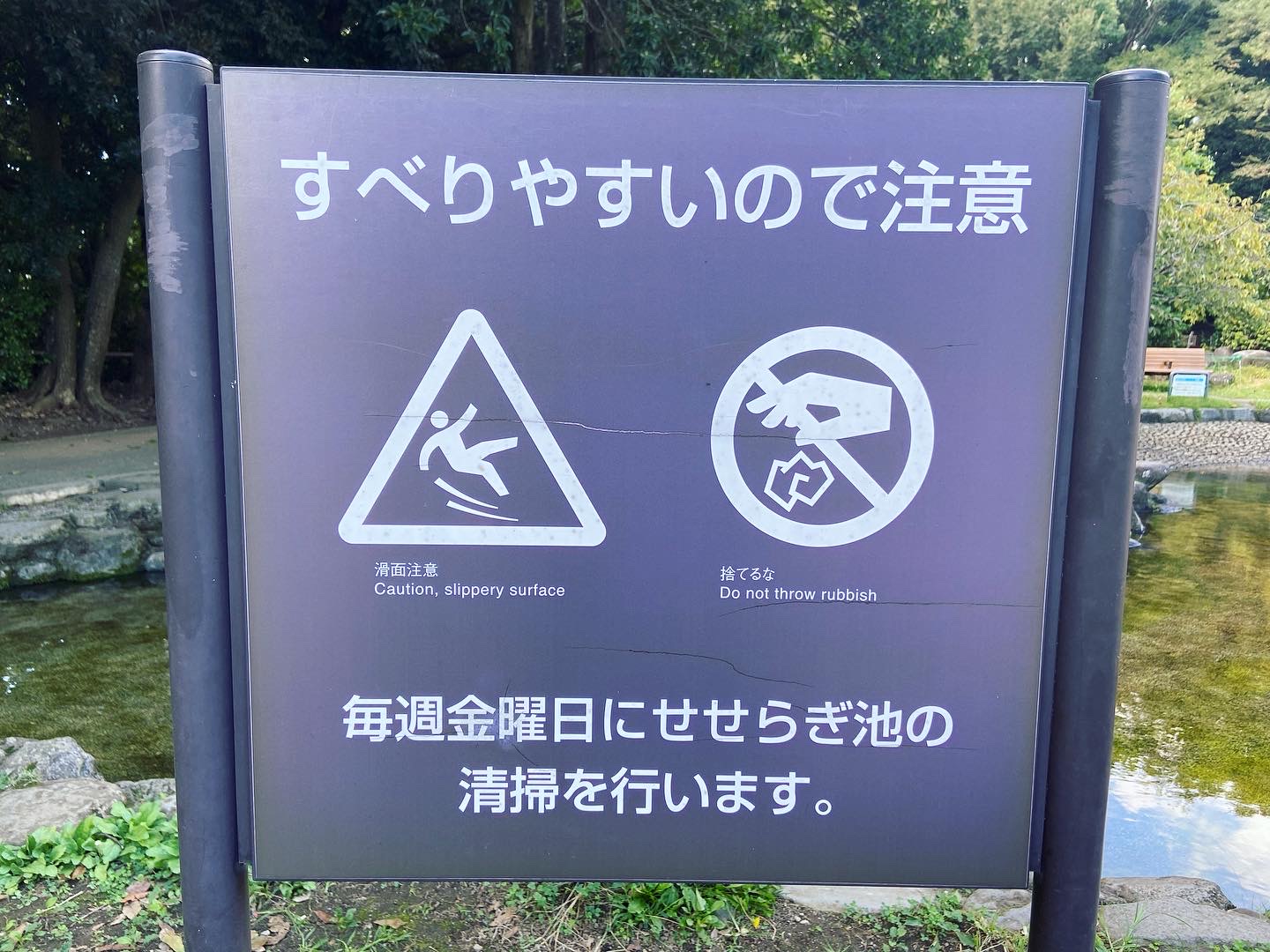 柿田川公園 せせらぎ池についてのお知らせ📢